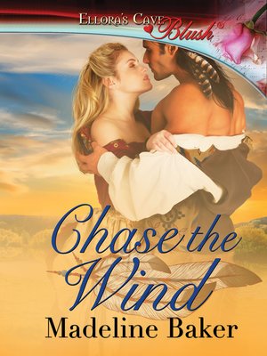 cover image of Chase the Wind